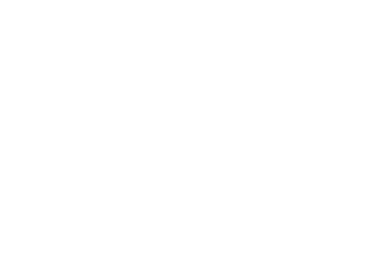 THE NIKKA LIMITED 2025