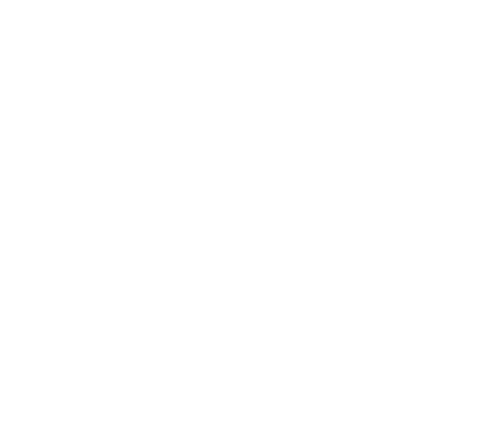 THE NIKKA LIMITED