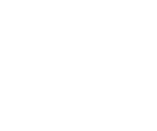 THE NIKKA NINE DECADES　ザ・ニッカ　ナインディケイズ