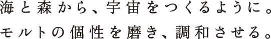 海と森から、宇宙をつくるように。モルトの個性を磨き、調和させる。